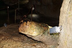 Hoellgrotte13_Rekog