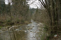 Hoellgrotte17_Rekog