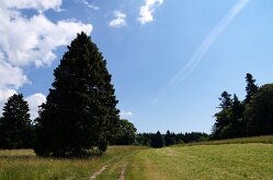 DSC06841