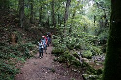 Twannbachschlucht(12)