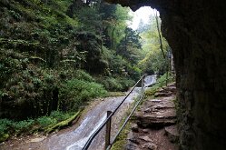 Twannbachschlucht(15)