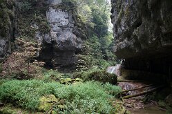 Twannbachschlucht(16)