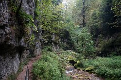 Twannbachschlucht(17)
