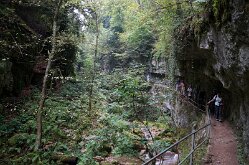 Twannbachschlucht(18)
