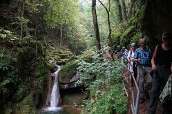 Twannbachschlucht(19)