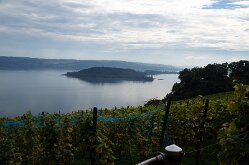 Twannbachschlucht(20)