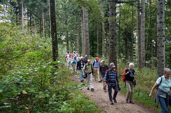 Twannbachschlucht(5)