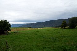 Twannbachschlucht(9)