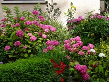 DSC00254