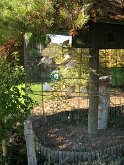 IMG_2208