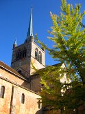 IMG_2484