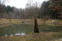 Roggenhausen (13)