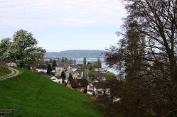 Arenenberg (5)