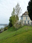 P1010955