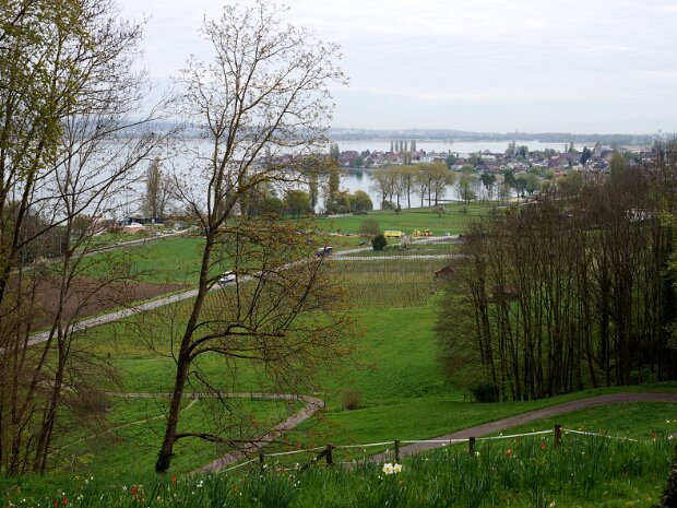Wanderung Untersee und Arenenberg Organisation: Jörg Hadermann