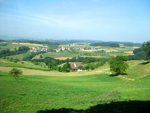 IMG_3199