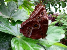 IMG_3215
