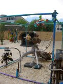 IMG_3475