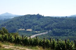DSC06820
