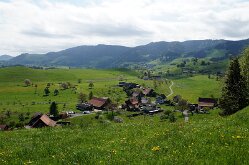 DSC06088