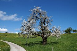 DSC06095
