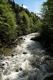 DSC06109