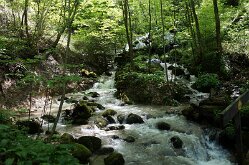 DSC06121