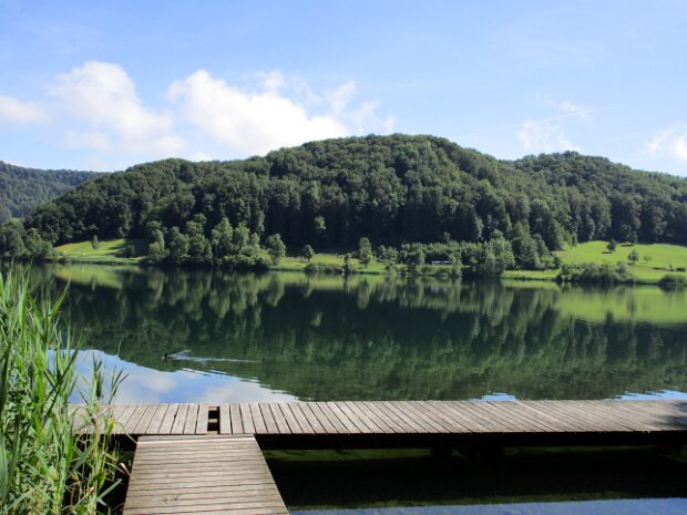 Wanderung Türlersee zum Albishaus Vorschau Fotograf: Monika Zbinden Reko