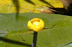 DSC06946