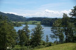 DSC06950
