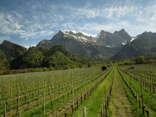 Bündnerherrschaft Fotograf: Horst Bruchertseifer