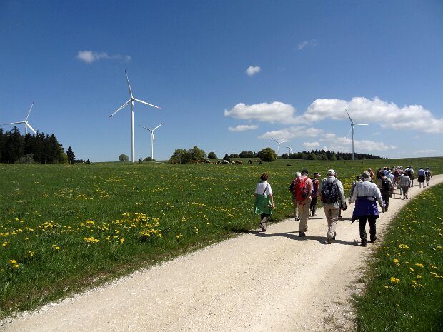 St. Imier – Mont Soleil – Mont Crosin - Courtelary Fotograf: Jörg Wochele