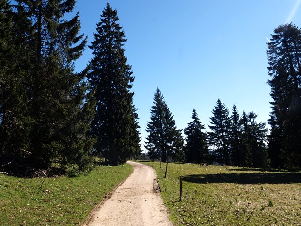 St. Imier – Mont Soleil – Mont Crosin - Courtelary Organisation: Ruth Lorenzen