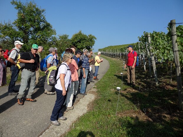 Fricktal Tourenleiter: Ulrich Spillmann