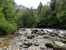 DSC01038