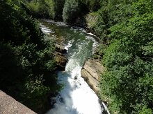 DSC02613