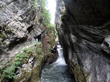 DSC03317