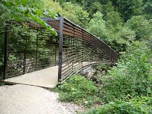 DSC03347