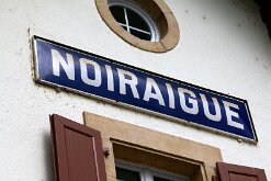 IMG_2555