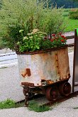 IMG_2556