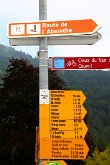 IMG_2559