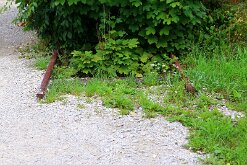 IMG_2563