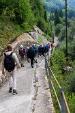 IMG_2568
