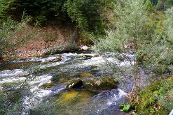 IMG_2569