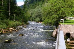 IMG_2572