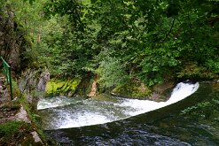 IMG_2574