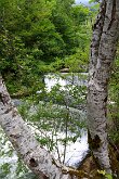 IMG_2578