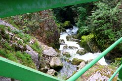 IMG_2579