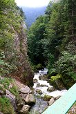 IMG_2581