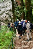 IMG_2586